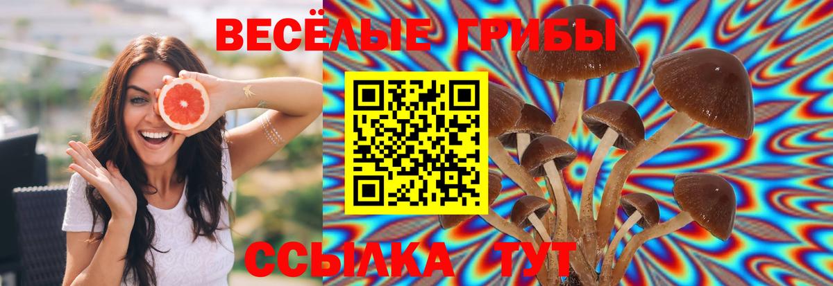 Ахтубинск  Галлюциногенные грибы Psilocybe  Псилоцибиновые грибы ЛСД  цены наркотик  Вход с VPN 