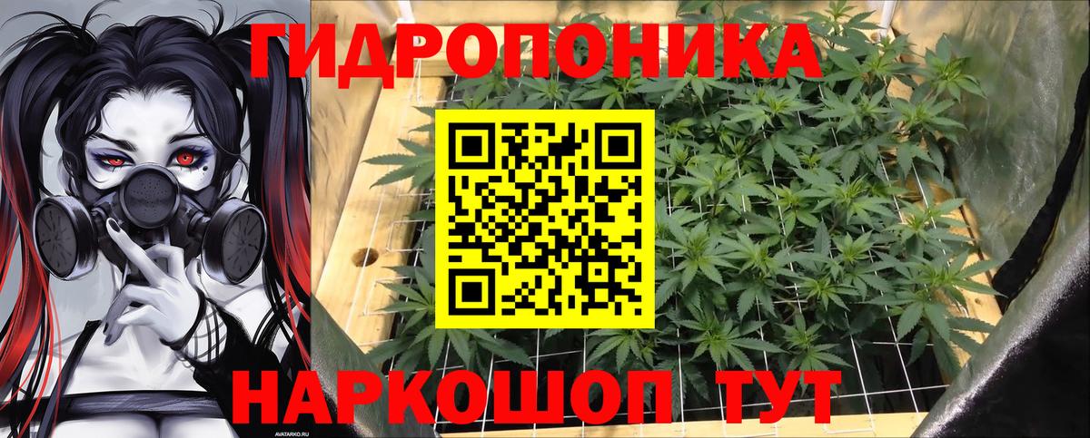 Марихуана SATIVA & INDICA  Вход с VPN  Шишки марихуана семена  Бошки Шишки Amnesia  Ахтубинск 